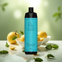 RandM Fumot Shisha 10000 Puff Disposable Mint 18ml Type-C