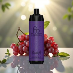 RandM Fumot Shisha 10000 Puffs 18ml Type-C Viiniminttu